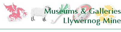 Museums & Galleries
Llywernog Mine