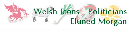 Welsh Icons - Politicians
Eluned Morgan