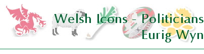 Welsh Icons - Politicians
Eurig Wyn