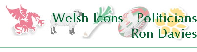 Welsh Icons - Politicians
Ron Davies