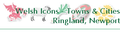Welsh Icons - Towns & Cities
Ringland, Newport