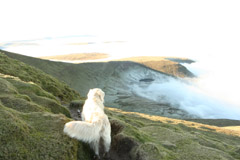 Floyd from summit of Pen y Fan overlooking cloud inversion in Cwm 