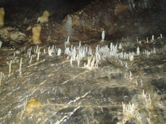 Dan yr Ogof Caves