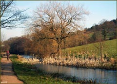 A walk along the Monmouthshire & Brecon Canal, at Malpas