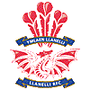 Llanelli RFC