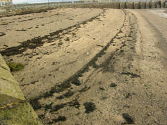 Patterns in the Sand, Beaumaris