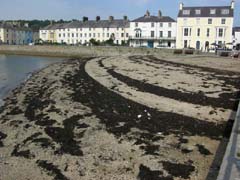 Beach & Promenade, Beaumaris, North Wales