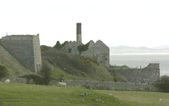 Ruined Quarry, Penmon, Anglesey