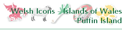 Welsh Icons - Islands of Wales
Puffin Island