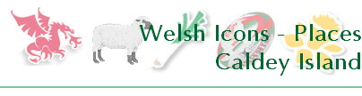 Welsh Icons - Places
Caldey Island