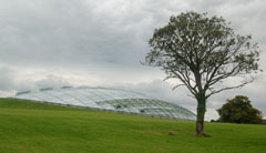 The Great Glasshouse is a spectacular dome and is the largest single span glasshouse in the world