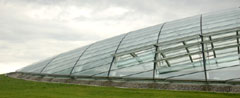 The Great Glasshouse is a spectacular dome and is the largest single span glasshouse in the world