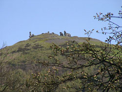 Castell Dinas Bran - Close Up 