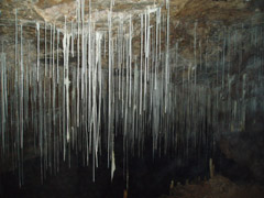 Dan yr Ogof Caves