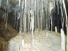 Dan yr Ogof Caves