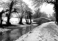 A walk along the Monmouthshire & Brecon Canal, at Malpas