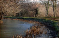 A walk along the Monmouthshire & Brecon Canal, at Malpas