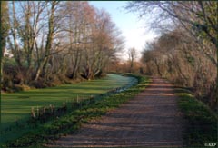 A walk along the Monmouthshire & Brecon Canal, at Malpas