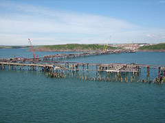 Building work, Milford Haven