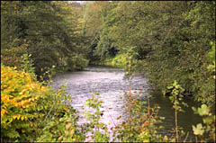 Newport - Tredegar park