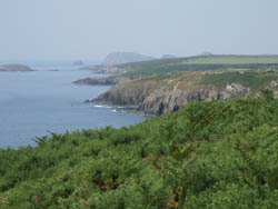 Pembrokeshire Coast National Park  