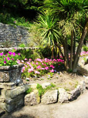 Step Into The Garden Of Penarth