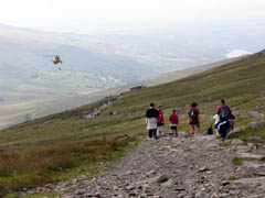 A rescue operation in progress on the Llanberis Path. 